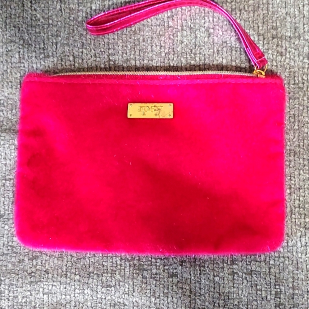 Ipsy bag